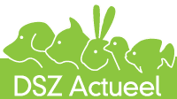 DSZ Actueel logo