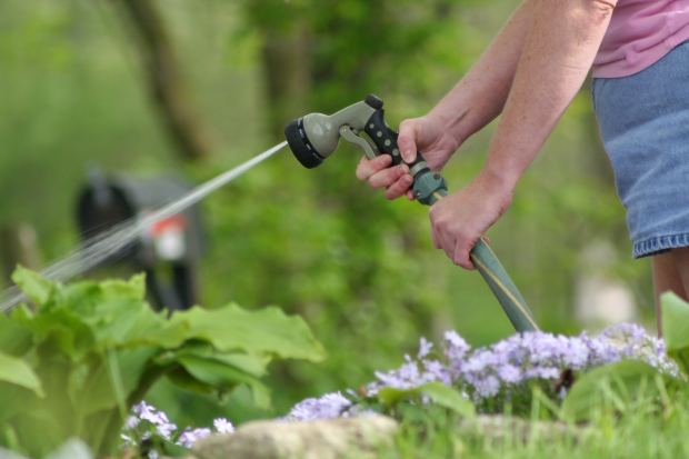 Marktaandeel tuinartikelen in dierenwinkels stijgt