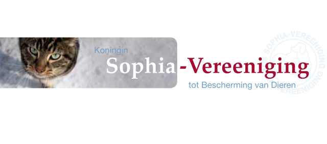 Sophia-Vereeniging: Hoge dierenartskosten door zieke hondenfokkerij