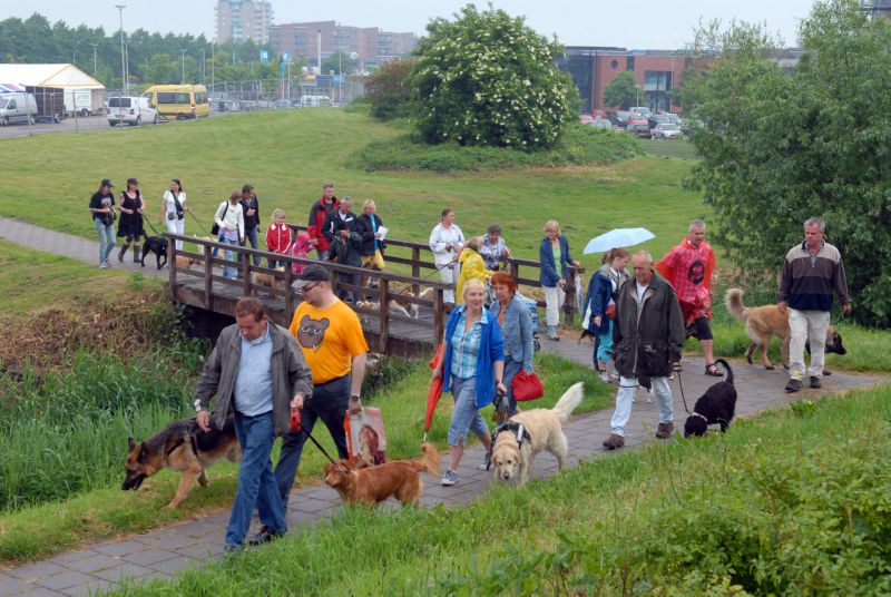 Grootste hondenwandeling vindt plaats op 9 juni