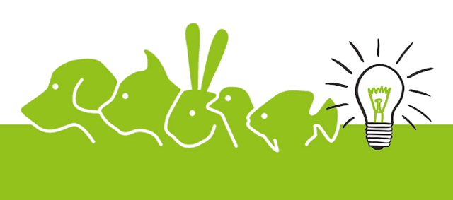 Pet Bedding B.V. failliet verklaard