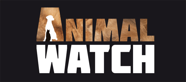 Nieuw televisieprogramma Animal Watch