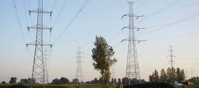 Electriciteitsstoring door honden opgespoord