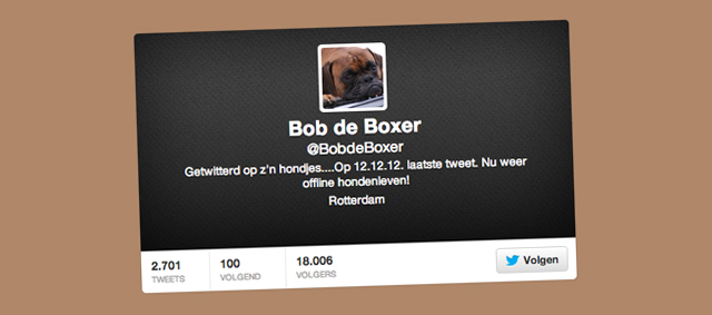 Bob de Boxer na Grumpy Cat erg populair