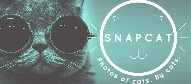 Met Snapcat de mooiste foto’s!