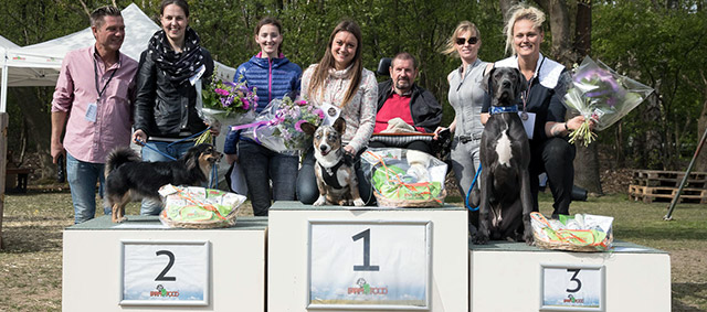 Animal Event trekt 30.000 bezoekers dit jaar