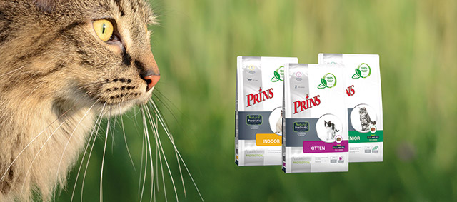 Prins geeft (weer) 2.500 kilo kattenvoeding weg