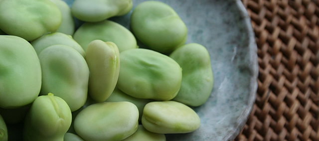 Hondenvoer in de toekomst mogelijk met tuinbonen