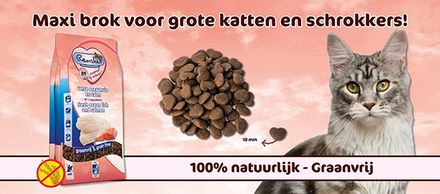 Speciale brok die ervoor zorgt dat grote en schrokkende katten  zich niet verslikken