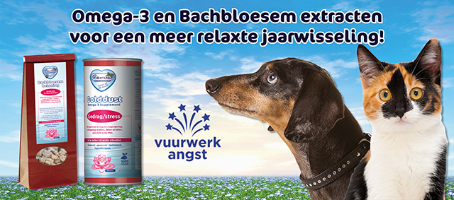 Renske Golddust en Bachbloesem remedie; voor een relaxte jaarwisseling voor honden en katten