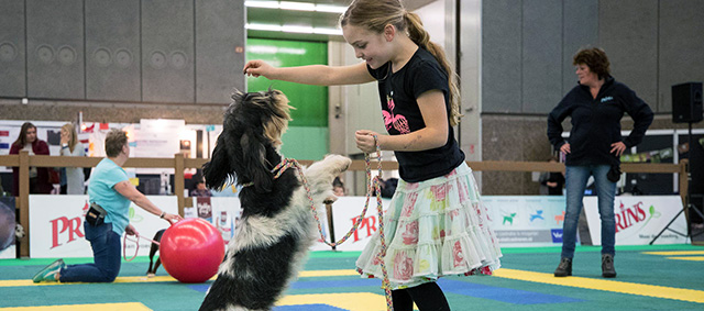 Hond2017 was een feest voor tienduizenden hondenliefhebbers