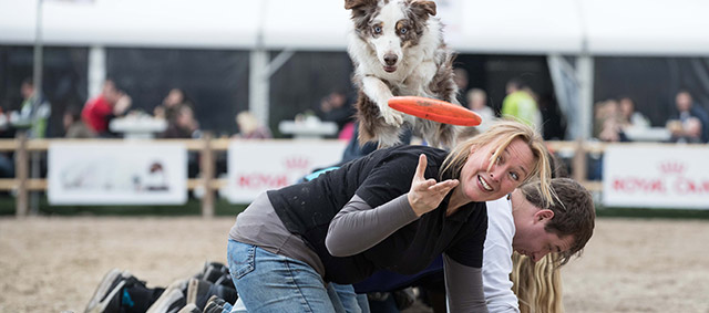 Animal Event 2018 – Hét festival voor dierenfans ondergaat metamorfose