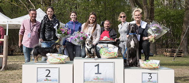 Verkiezing van de Mooiste Hond 2018 barst los