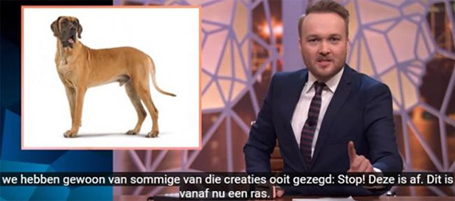 Zondag met Lubach levert RashondenWijzer bijna half miljoen extra bezoekers