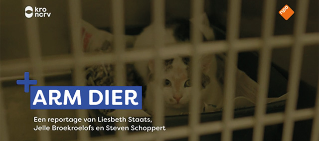 Hallo Brandpunt: huisdieren zijn méér dan honden en katten