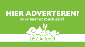 Gerrit Sachtleven start als accountmanager bij DSZ Actueel