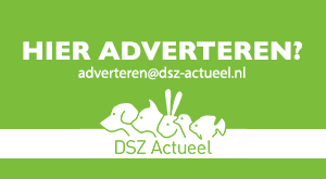 Over DSZ Actueel