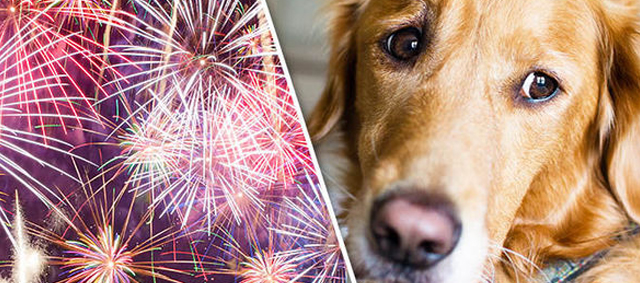 Vuurwerk binnenkort verboden in Vlaanderen