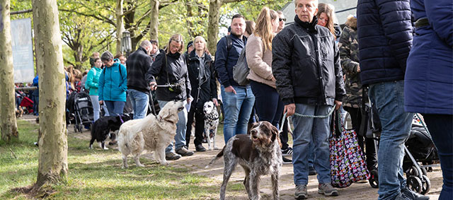 Dierenliefhebbers zoeken Brabantse gezelligheid op in Hilvarenbeek