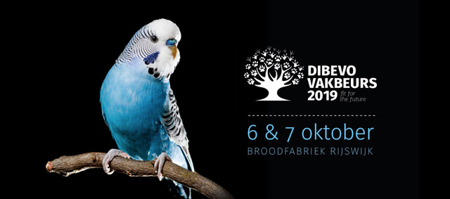 DIBEVO-VAKBEURS 2019