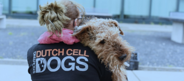 Terugblik met Not for Profit Award-winnaar Dutch Cell Dogs
