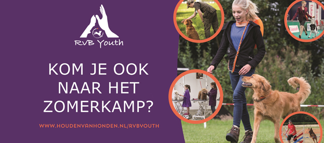 Inschrijving voor Youth Zomerkamp 2019 geopend!