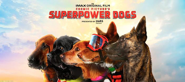 Hollandse herder in familiefilm ‘Superpower Dogs’