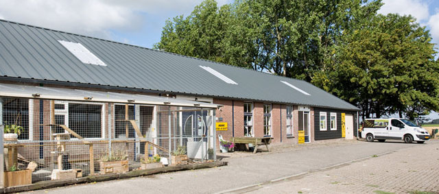 Drie jubilea tijdens open dag Dierenopvangcentrum Tholen