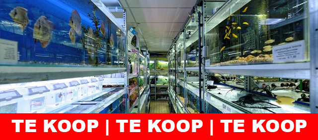 Te koop: Goedlopende Aquarium Speciaalzaak in Midden Noord-Holland