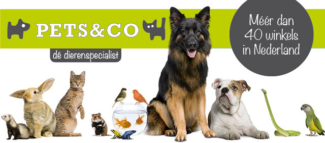 Pets&Co in een notendop