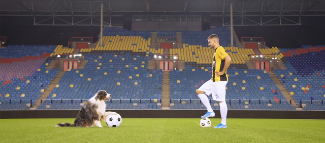 Prins en Vitesse presenteren ‘The Battle’