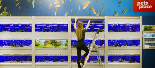 De grootste Pets Place boven de rivieren gaat bijna open
