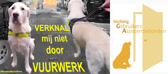 Het gevaar van vuurwerk bij assistentiehonden