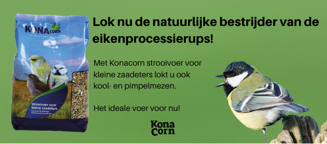 Lok nu de natuurlijke bestrijder van de processierups!