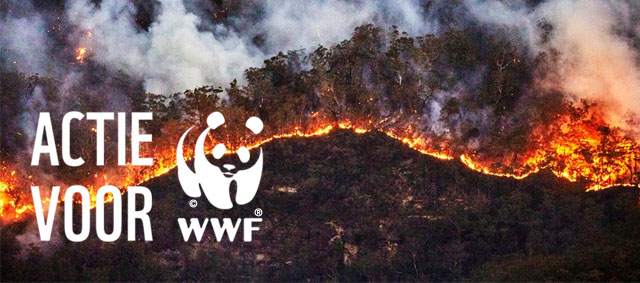 Australië staat in brand: WWF roept op tot actie voor de dieren
