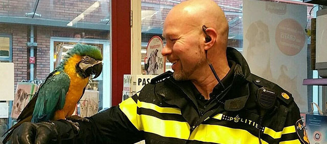 Bezoeker Alkmaarse dierenwinkel krijgt winkelverbod voor het geven van pillen aan papegaai