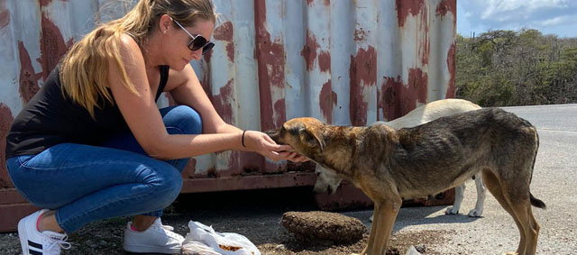 ‘Brokken-luchtbrug’ voor hongerige honden op Curaçao