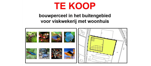 Te koop: bouwperceel voor viskwekerij met woonhuis