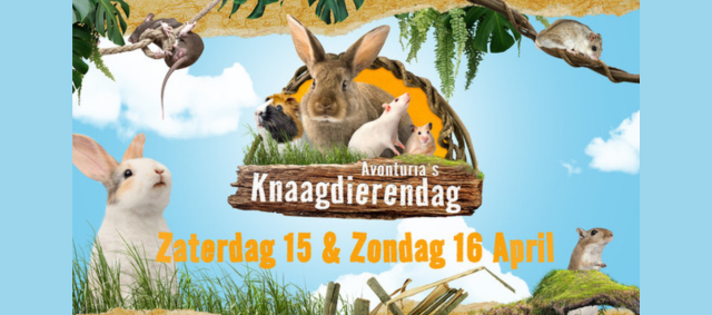 Avonturia presenteert de Knaagdierendagen.