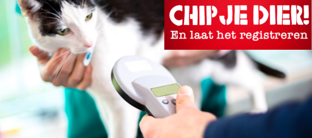 De Juni Chipmaand 2023 is weer begonnen!