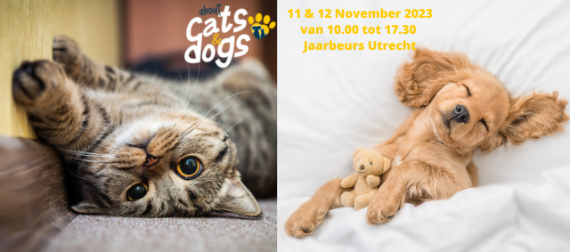 Maureen du Toit, Piet Hellemans en ‘adventure cat Oliver’ in hoofdrol tijdens About Cats & Dogs