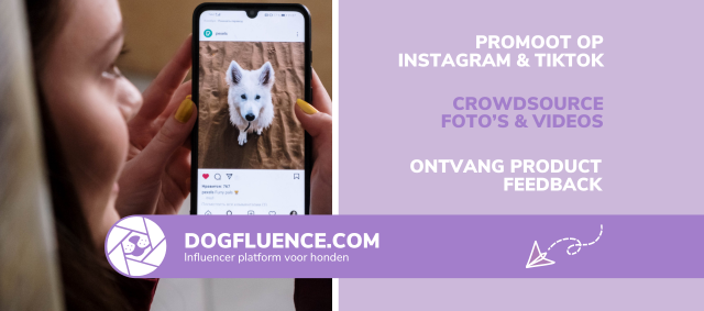 Promoot jouw merk of dierenspeciaalzaak met Dogfluence: Authentieke Content, Waardevolle Promotie en Directe Feedback!